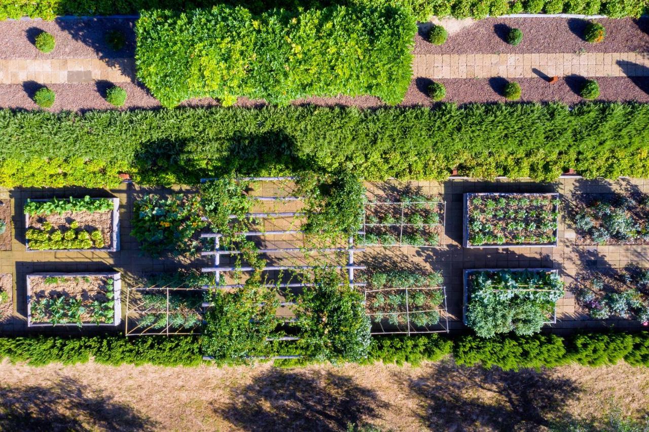 Villa Valentini Bonaparte Pozzuolo Bagian luar foto